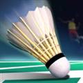 Real Badminton游戏 安卓版v1.07